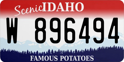 ID license plate W896494