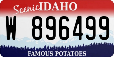 ID license plate W896499