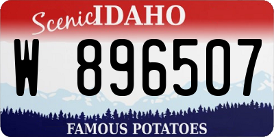 ID license plate W896507