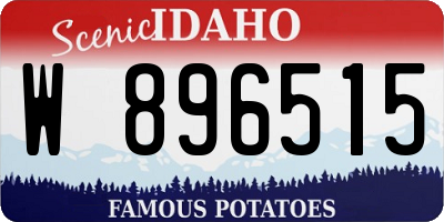 ID license plate W896515