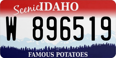 ID license plate W896519
