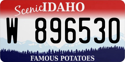 ID license plate W896530