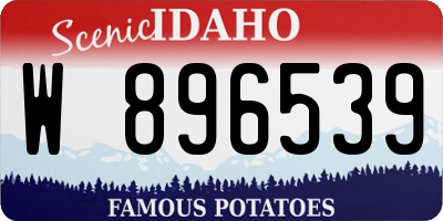 ID license plate W896539