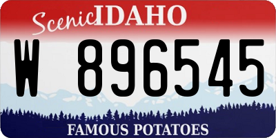 ID license plate W896545