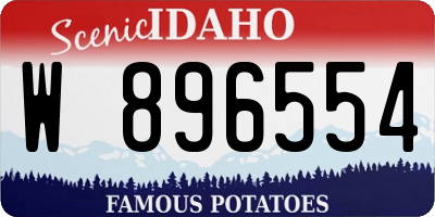 ID license plate W896554