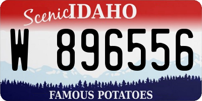 ID license plate W896556