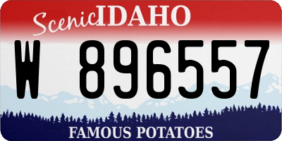 ID license plate W896557