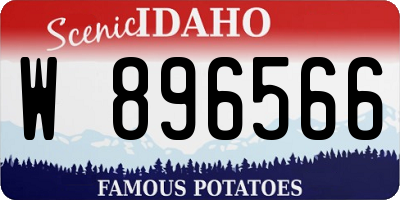 ID license plate W896566