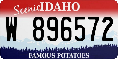 ID license plate W896572