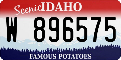 ID license plate W896575
