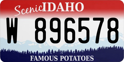 ID license plate W896578