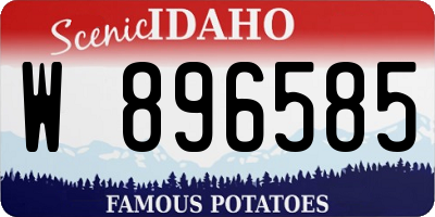 ID license plate W896585