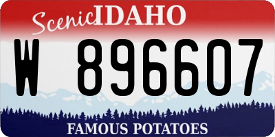 ID license plate W896607