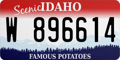 ID license plate W896614