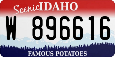 ID license plate W896616