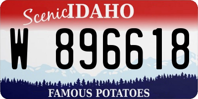 ID license plate W896618