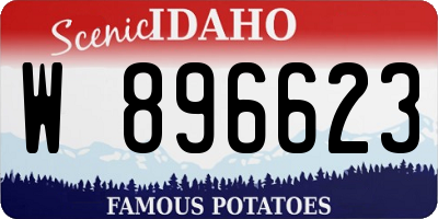 ID license plate W896623