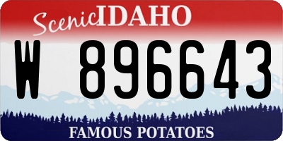 ID license plate W896643