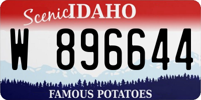 ID license plate W896644