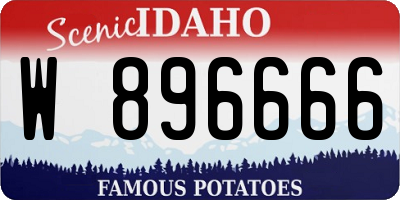 ID license plate W896666