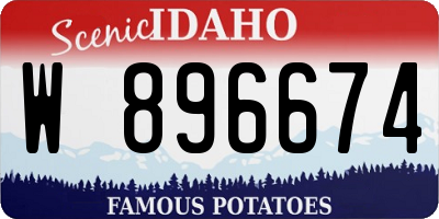 ID license plate W896674