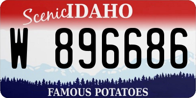 ID license plate W896686