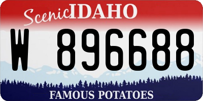 ID license plate W896688