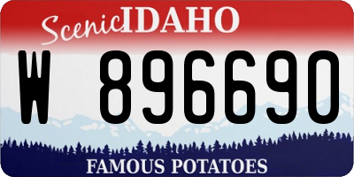 ID license plate W896690