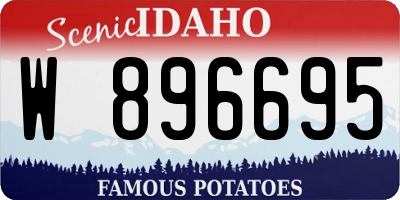 ID license plate W896695