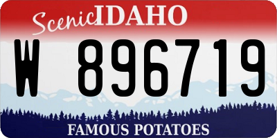 ID license plate W896719