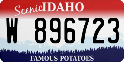 ID license plate W896723