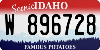 ID license plate W896728