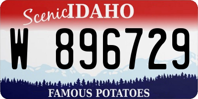 ID license plate W896729