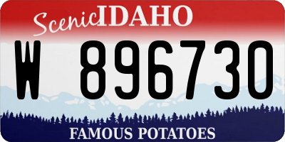 ID license plate W896730