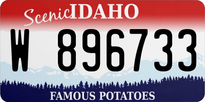 ID license plate W896733