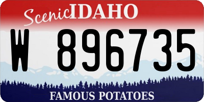 ID license plate W896735
