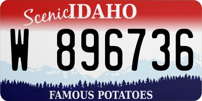 ID license plate W896736