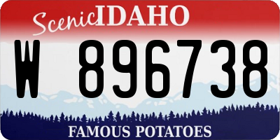 ID license plate W896738