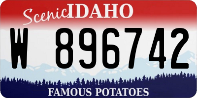 ID license plate W896742