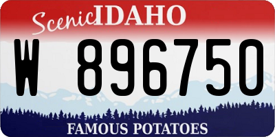 ID license plate W896750