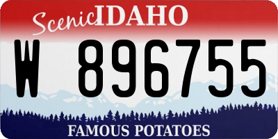 ID license plate W896755