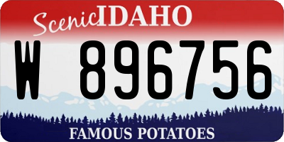 ID license plate W896756