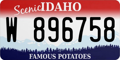 ID license plate W896758