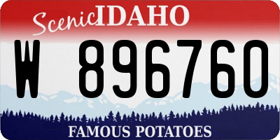 ID license plate W896760