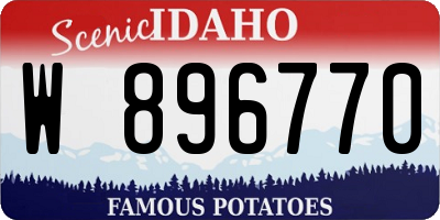 ID license plate W896770