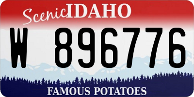 ID license plate W896776