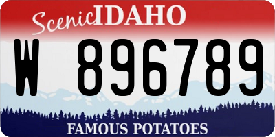 ID license plate W896789