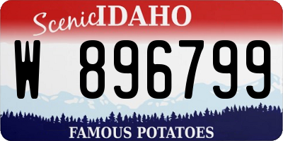 ID license plate W896799