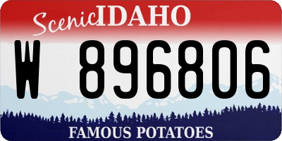 ID license plate W896806