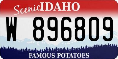 ID license plate W896809